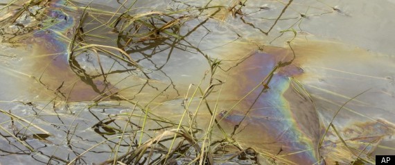 Yellowstone River: Exxon To Drain Oil From Failed Pipeline