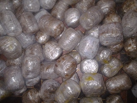 cannabis recovered from cosmetic containers 2