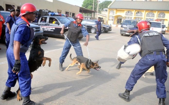 NSCDC arrests 45 suspected criminals in Kano