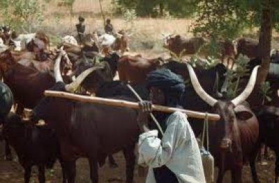 fulani-herdsmen (1)