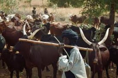 Clash:  Wounded Fulani Herdsmen Rescued By Policemen In Ebonyi