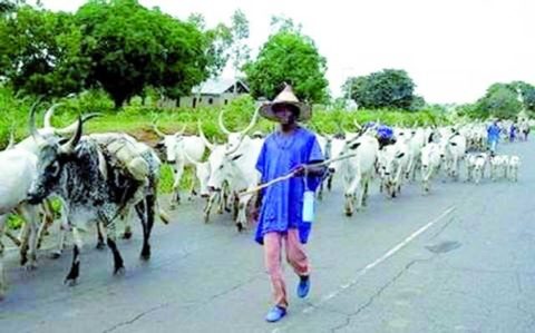 fulani-herdsmen