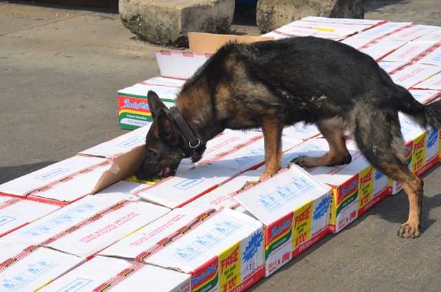 sniffer dog identifying one of the packs of methamphetamine