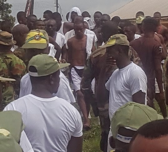 nysc stripped naked-omogist