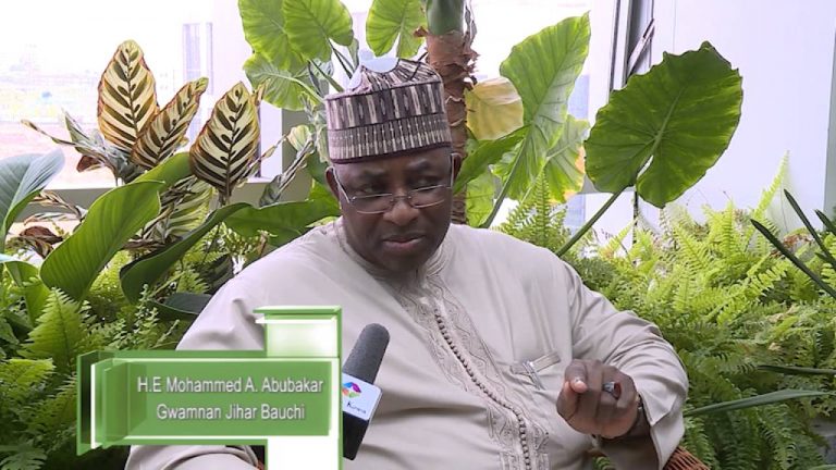 Noose Tightens Around Bauchi Gov, Presidency Weighs In