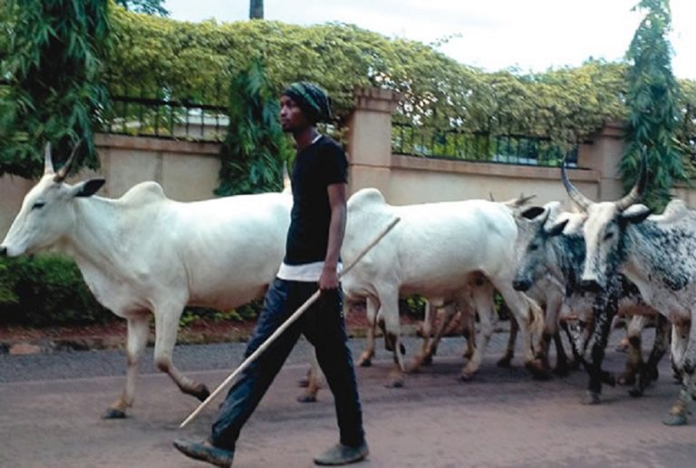 Stop This Mindless Bloodbath By Herdsmen, Moro Tells Ortom
