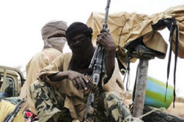 Ex Nigerian Senate President Wants UN To Sanction Cameroon, Chad Over Boko Haram