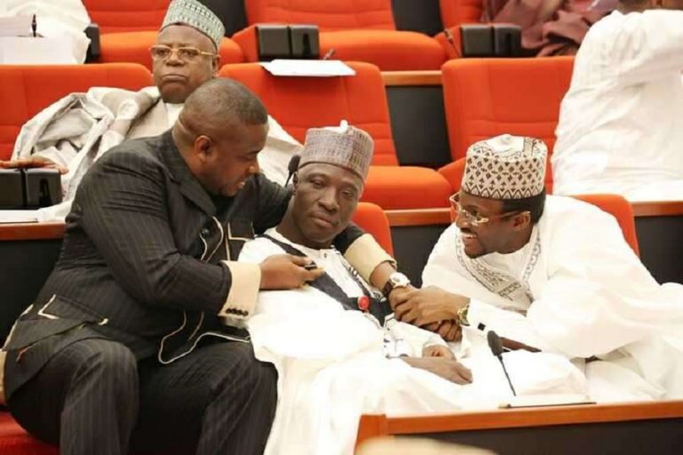 [Interview] “I’m No Errand Boy To Dogara” – Senator Ali Wakili