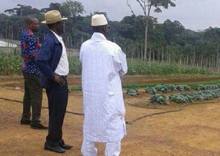 First Pictures of Gambia’s Deposed Leader, Yahya Jammeh, Emerges Since Exile, Set to Become Farmer