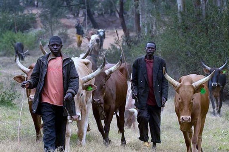 Benue Communities in Turmoil: Fresh Herders’ Attack Claims Two Lives, Sparks Mass Displacement