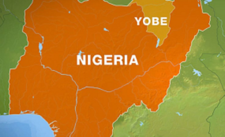 Yobe Govt recovers, hands-over 206 rustled cows to owners