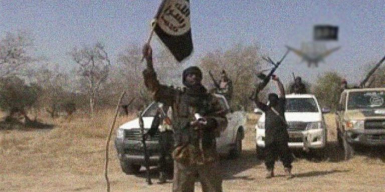 Boko Haram: VSF Empowers 17,000 Women In North East