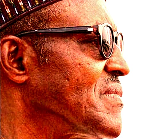 Delayed Budgets Hinder Completion Of Projects – President Buhari