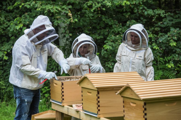 Kebbi Govt. trains over 100 youths on bee keeping