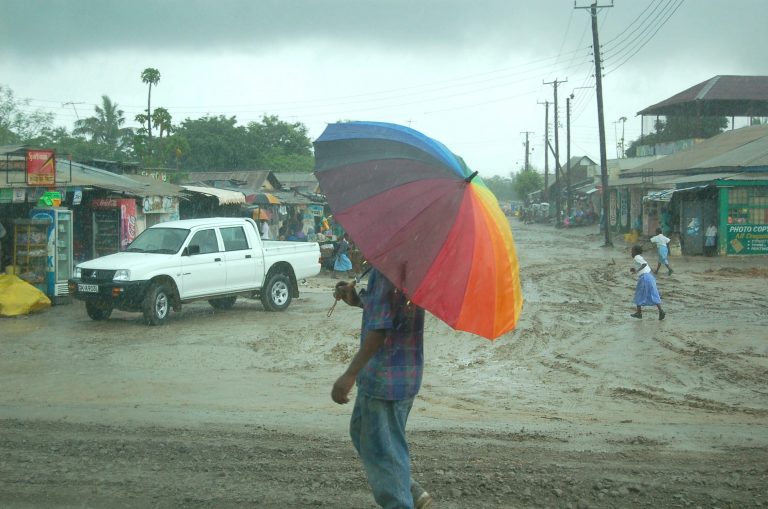 Rainstorm kills 4 children in Yola
