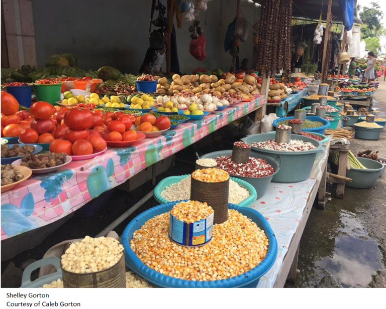 Lagos To Domesticate Strategy On Food Security, Nutrition