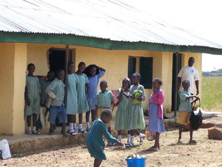 How Nigerian Elites Destroy Public Schools To Build Their Own – NAESN