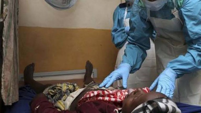 Lassa fever: 4 suspected cases recorded in Adamawa