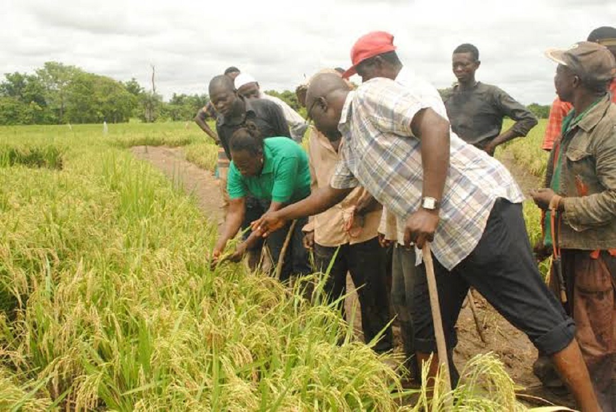 States Should Emulate Fadama Model- LASG - 247 Ureports