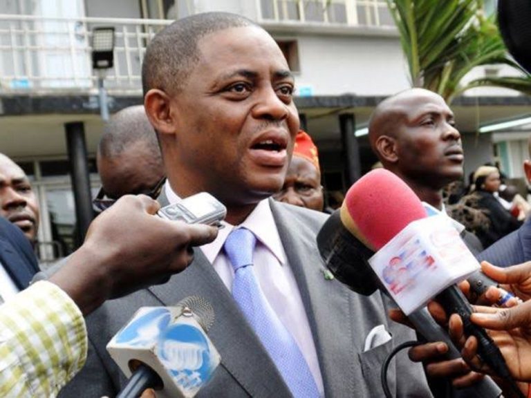 Attacks On Igbos In Lagos: Fani-Kayode, Others Must Be Arrested – Ohanaeze