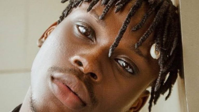 Music Review: Fireboy crowns single ‘Need You’ with an emotional visual