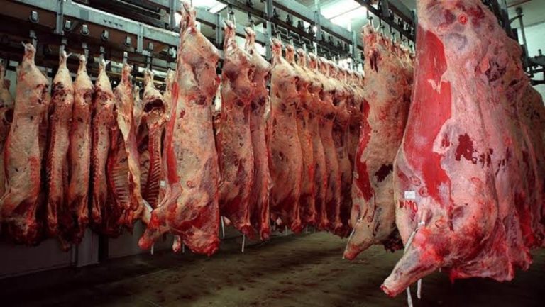 Benue Govt To Modernize Abattoirs In The State