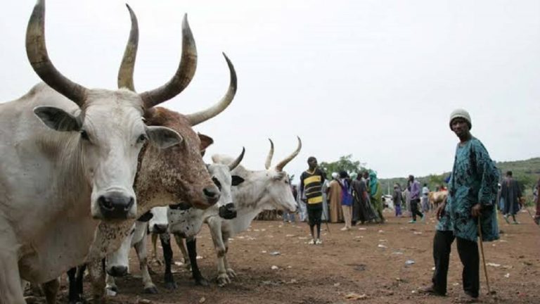NLTP, Anti Open Grazing Law As Instruments To Curb Herder/Farmer Conflicts in Benue