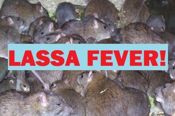 Lassa Fever kills 9 as authorities confirm 46 cases in Benue 