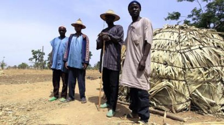 Fulani Herdsmen Attack: Stop Manhunt For Imo Prophetess, Activist Tells Police