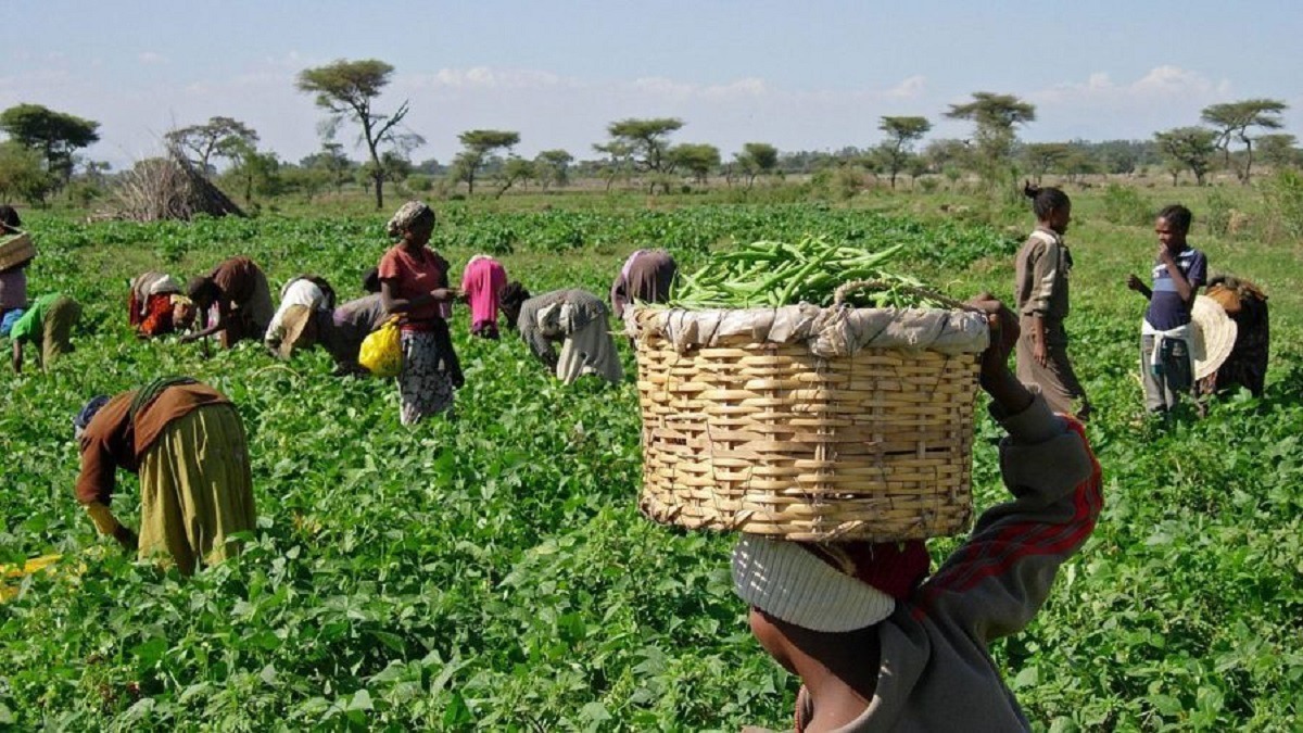 ganduje-unveils-95m-agro-project-247ureports