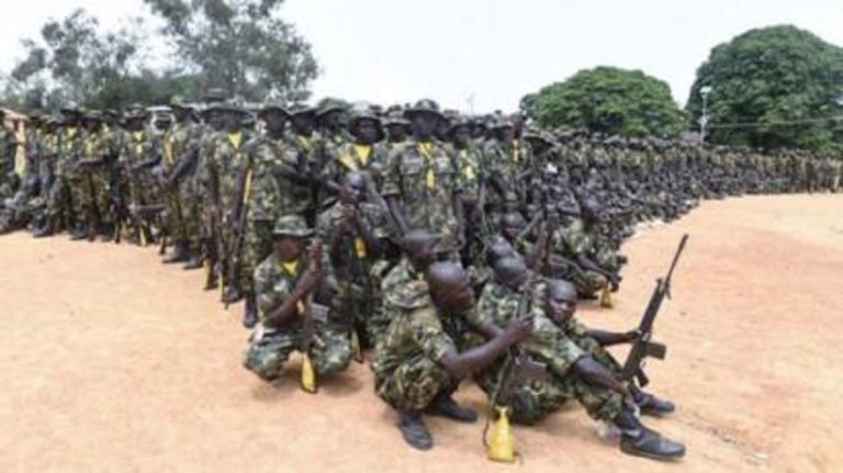 Troops in hot chase of remnant of B/Haram terrorists – Army