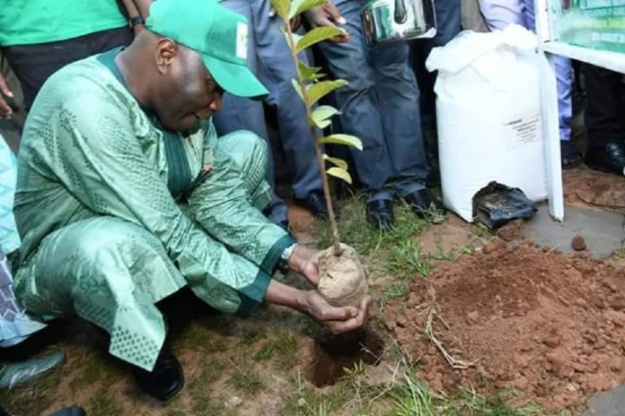 Green Project Initiative: Bauchi ACReSAL to conducts feasibility studies on Tree Planting
