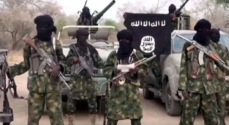 Exclusive: Boko Haram commanders call for ceasefire after military onslaught