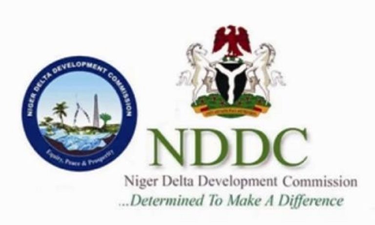 NDDC Director Of Projects Under Fire From Kinsmen