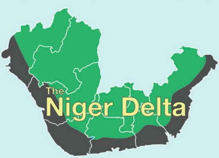 Niger Delta Leaders Warn Against Plot To Blackmail NSA, Amnesty Program Committee