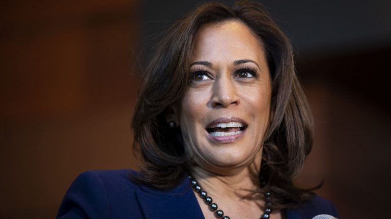 Kamala Harris emerges as early vice presidential favorite for Joe Biden: report
