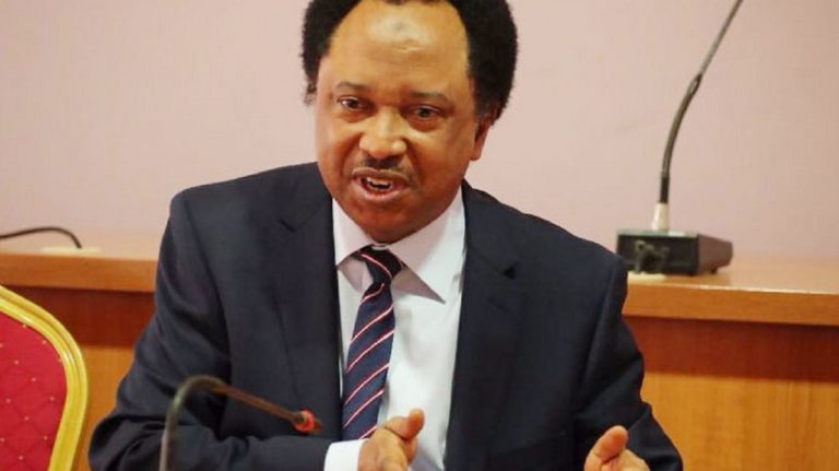 Implications of ECOWAS military invasion of Niger for Nigeria – Sen. Sani