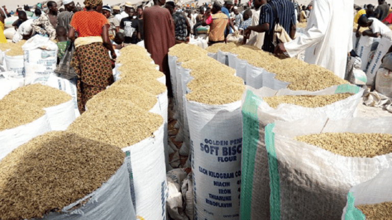 Take pride in rice farming – Anambra farmer urges youths
