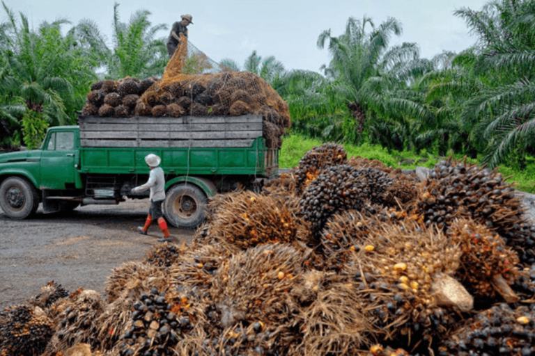 Oil palm coy pledges N3m reward for information on gunmen who killed 2 security guards