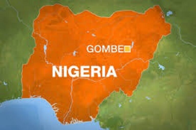 Gombe in need of awareness to tackle the high rate of maternal mortality deaths