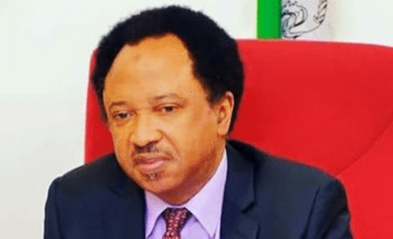 Crack in PDP as 10,000 Shehu Sani's supporters defect to APC