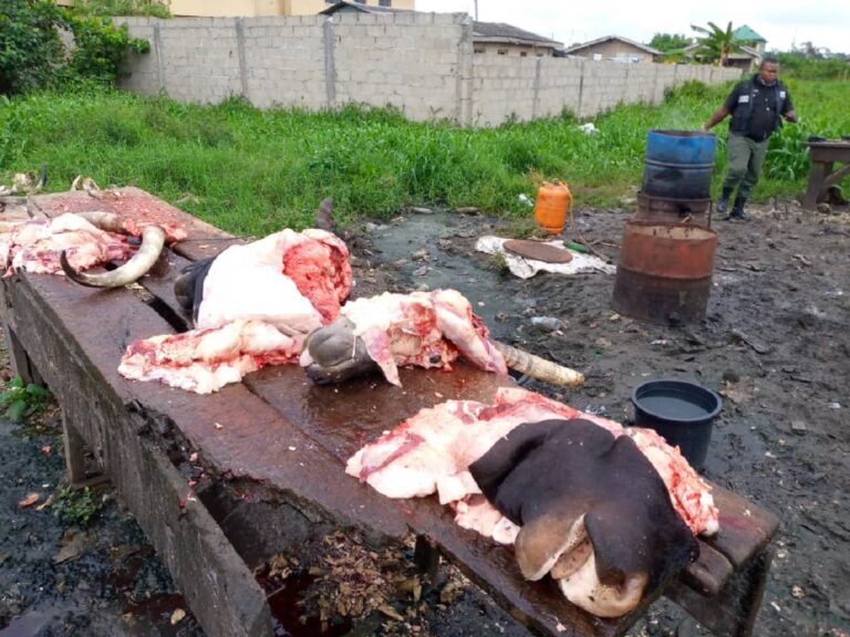 Lagos Dislodges Illegal Slaughter Slab, Arrests 10 Butchers In Alimosho