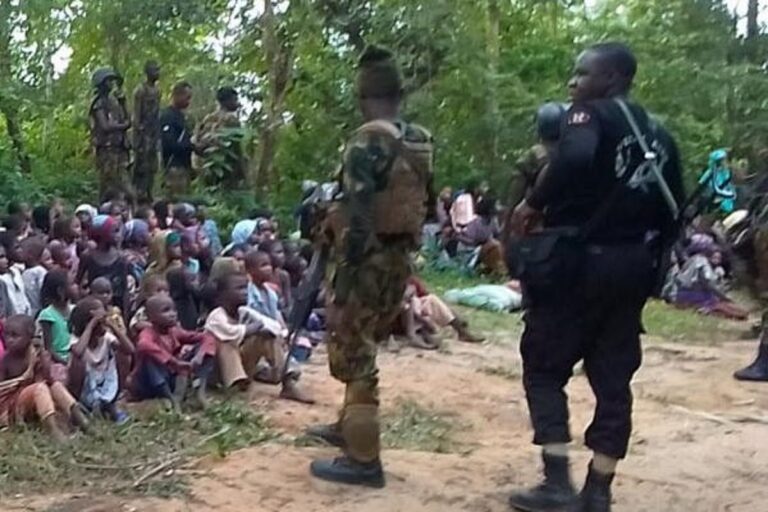 Army, not IPOB/ESN, razed houses, shops, vehicles in Awo-mmamma, Imo community – IPOB