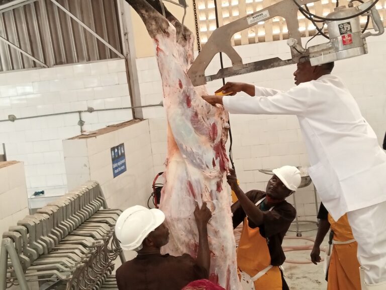 LASG To Establish Butchers’ Academy