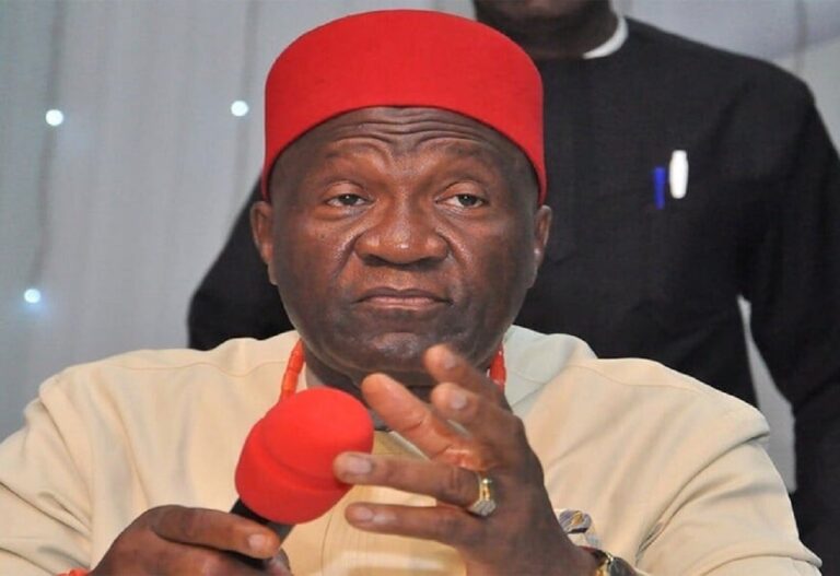 I didn’t speak on IPOB, Imo, Anambra killings – Nnia Nwodo