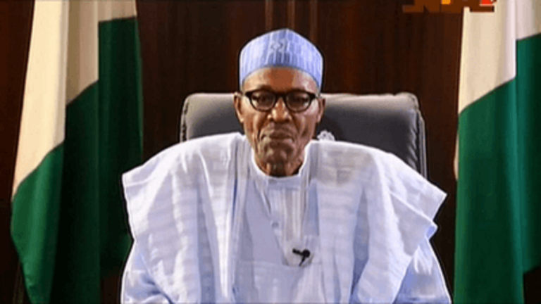 SANs fault Presidency attack on grazing ban, NEF slams Buhari