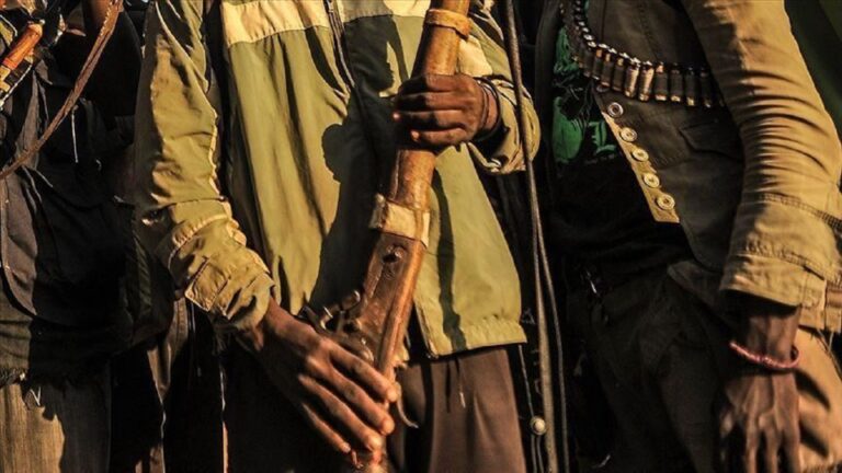 Gunmen kill Imo Accountant-General’s brother