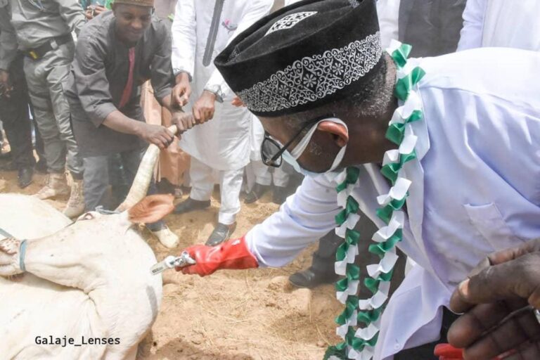 Gov Bala Mohammed Launches 2021 Annual Livestock Vaccination Campaign