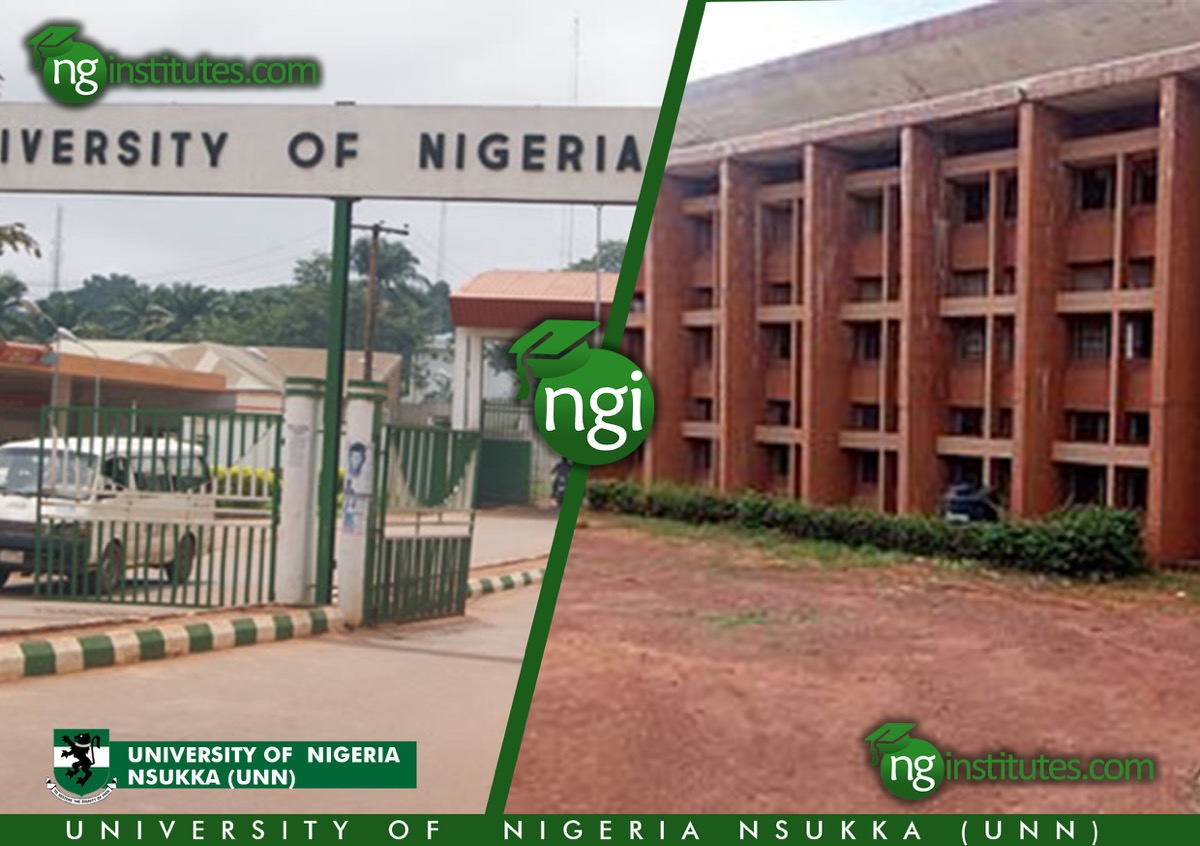 UNN Business School says Nigeria's problem is lack of implementation of ...