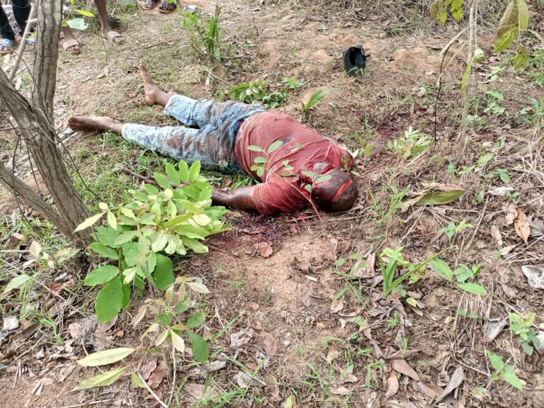 Group demands Investigation, arrest of killers of 17 Ebonyi natives